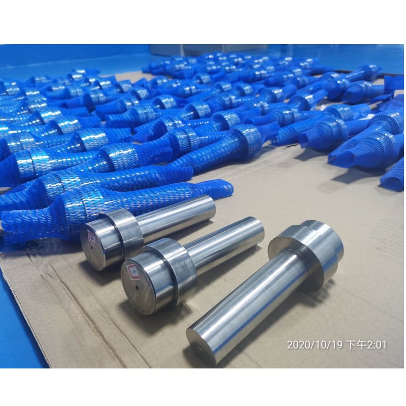 Trục crack rôto động (3)